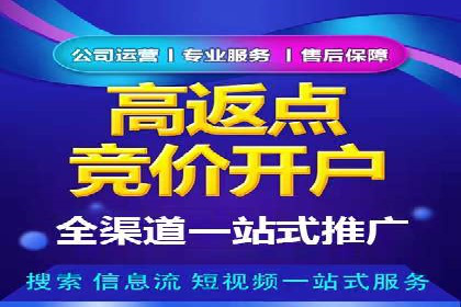 SEM实战案例：案例分析广告投放